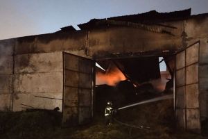 Спасатели сообщили о двух пожарах в селах Пензенской области