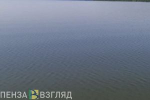 Утонувший ребенок, жестокое убийство и розыск самокатера, сбившего девочку – новости Пензы и области за 8 августа