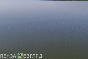 Елена Столярова прокомментировала трагедию с утонувшей под Пензой девочкой