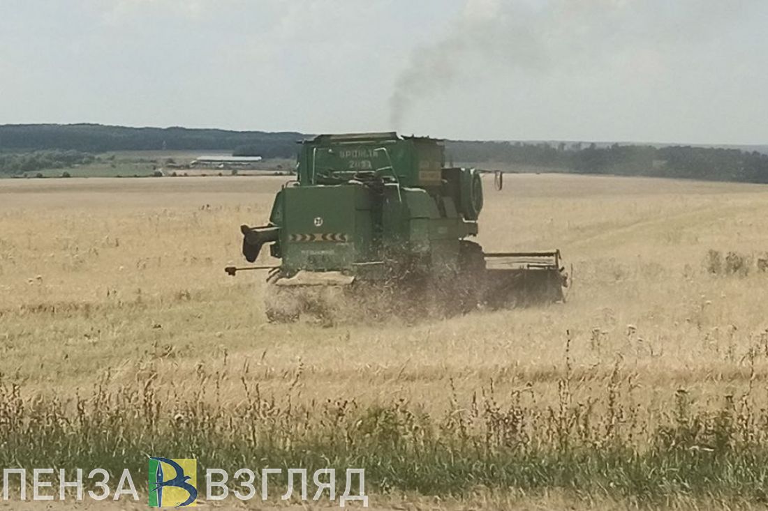 В Пензенской области аграрии собрали 1 миллион тонн зерна