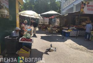 В Пензенской области выросло производство продукции сельского хозяйства