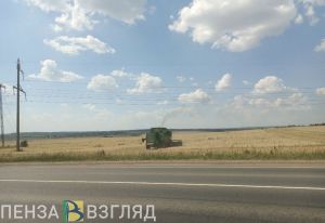 В Пензенской области намолочено 1 млн 600 тысяч тонн зерна