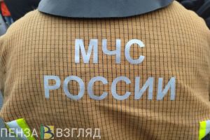 МЧС сообщило подробности пожара на чемодановской свалке под Пензой