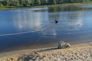 В пензенском пруду найдено тело утонувшего мужчины