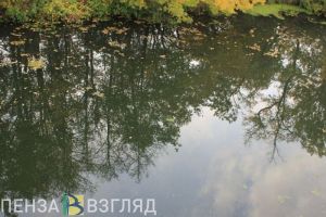 Следователи разбираются в обстоятельствах смерти пензенца, тело которого нашли в водоеме