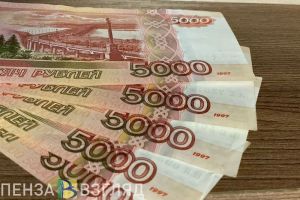Пензенцы узнали о позиции Путина по зарплате педагогических работников