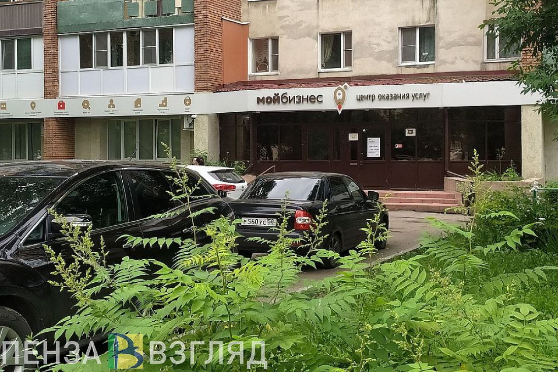 Пензенцев, получающих соцконтракты, планируют обучать предпринимательству