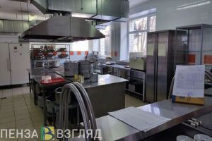 Пензенцы узнали о законопроекте по обеспечению старших классов горячим питанием