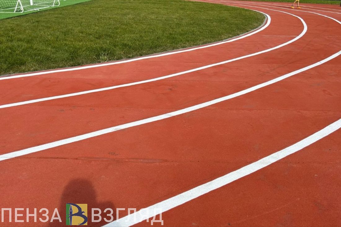 Пензенские тренеры получили статус педагогических работников