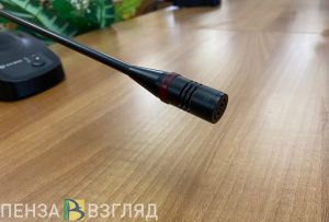 В Гордуме Пензы досрочно прекратили полномочия депутата