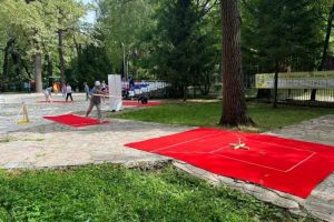 Команда Никольского района стала лучшей на соревнованиях по городошному спорту