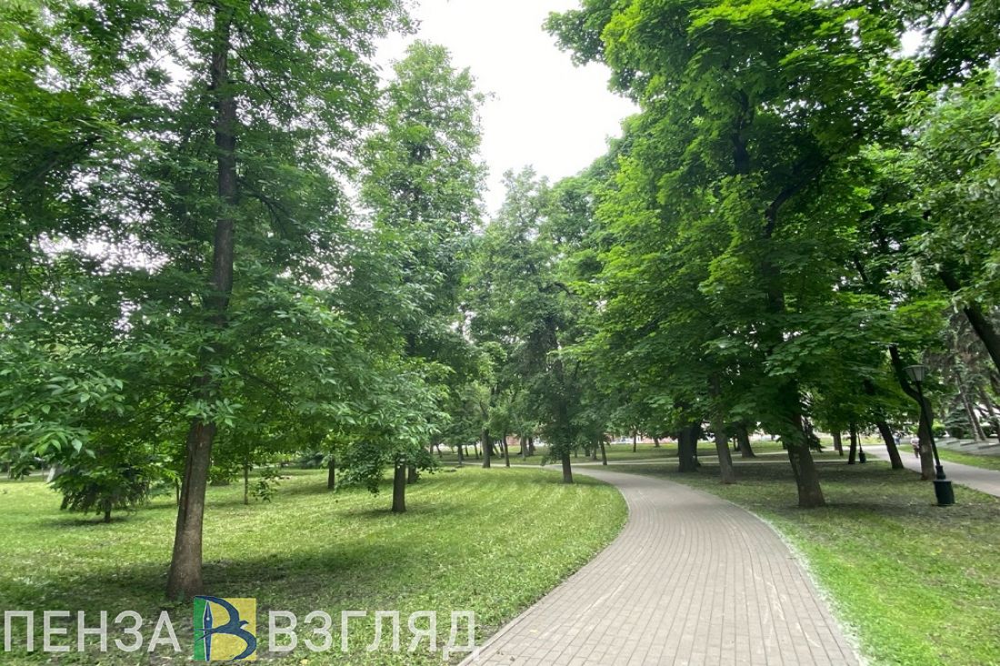 Жителей Пензы приглашают на бесплатные литературные прогулки (6+)
