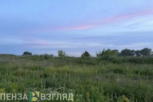 Прогноз погоды, поздравление губернатора и новое медоборудование — новости Пензы и области за 3 сентября