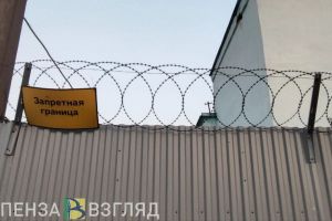 Житель Бессоновского района сядет в тюрьму из-за 267 рублей