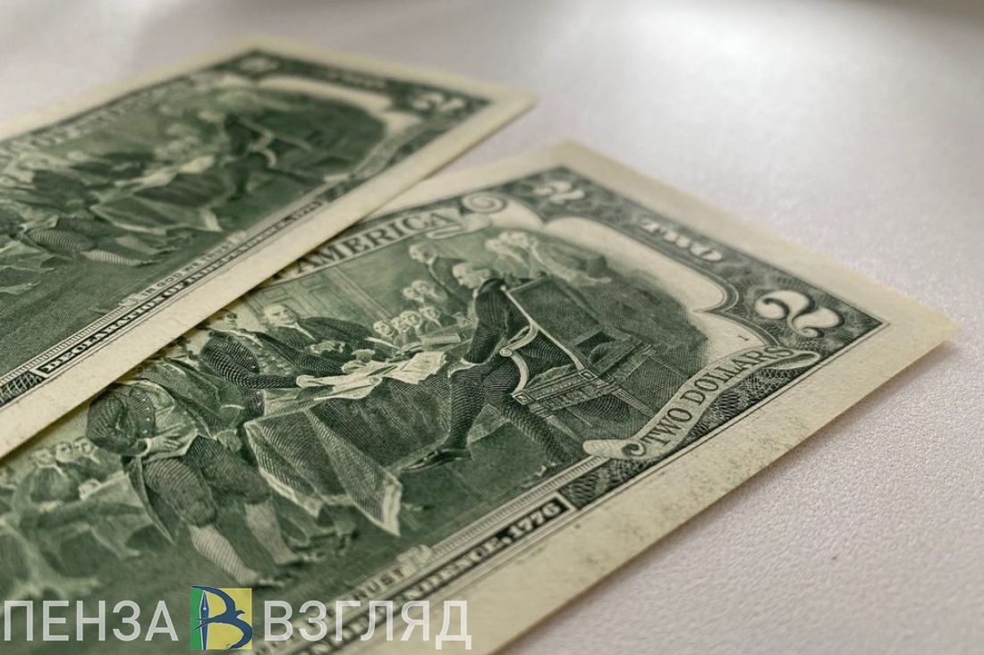Пензенцы узнали, что доллар не будет стоить больше 100 рублей