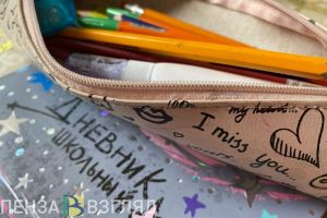 Многодетным и бедным пензенцам не выплатят пособия на сборы учащихся в школы
