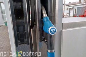Пензенские власти прокомментировали рост цен на нефтепродукты