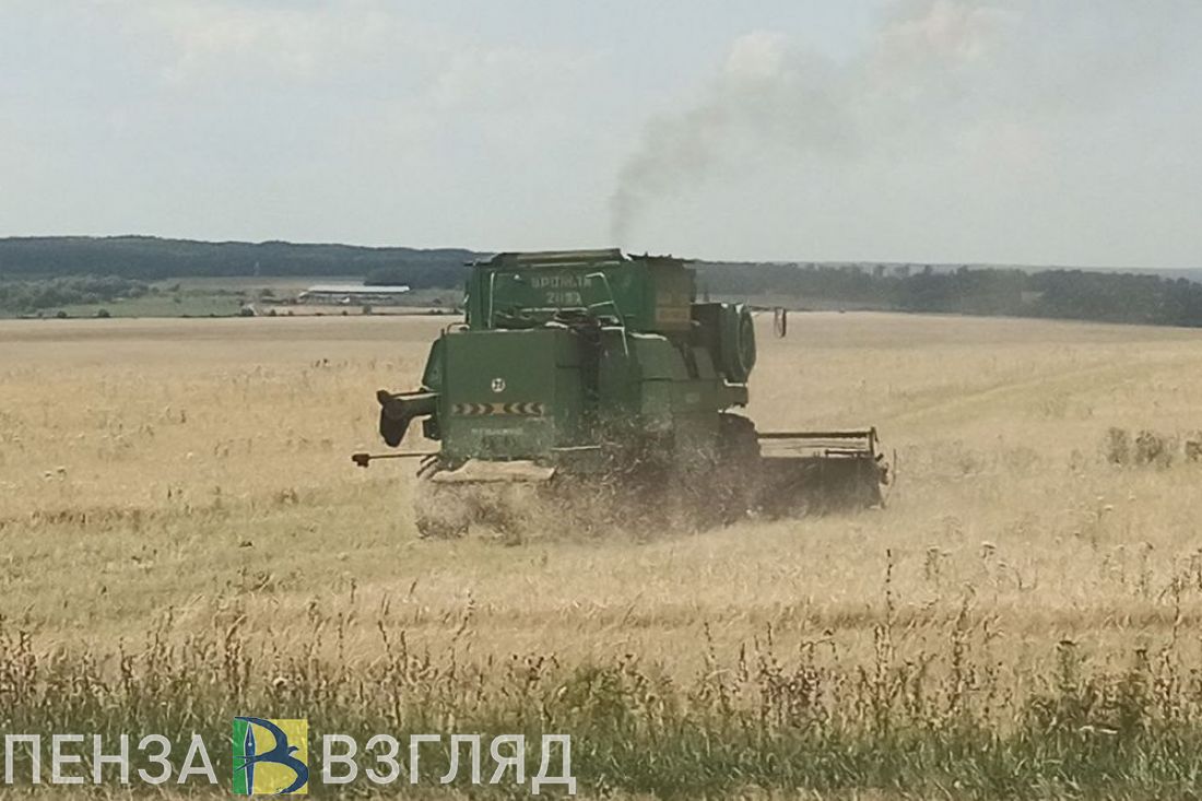 Чиновники объяснили пензенцам, почему так важен сбор хорошего урожая