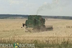Чиновники объяснили пензенцам, почему так важен сбор хорошего урожая
