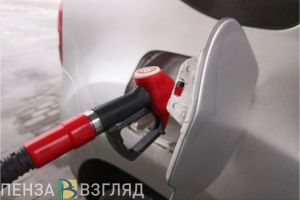 Пензенское УФАС проверит законность повышения цен на бензин и дизтопливо