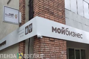 Названа доля сотрудников, занятых в малом и среднем бизнесе в Пензенской области