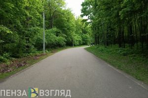 Пензенцев приглашают принять участие в «Кроссе нации»