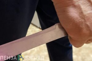 В Мокшанском районе мужчина вонзил острие в живот человека и не признал вину