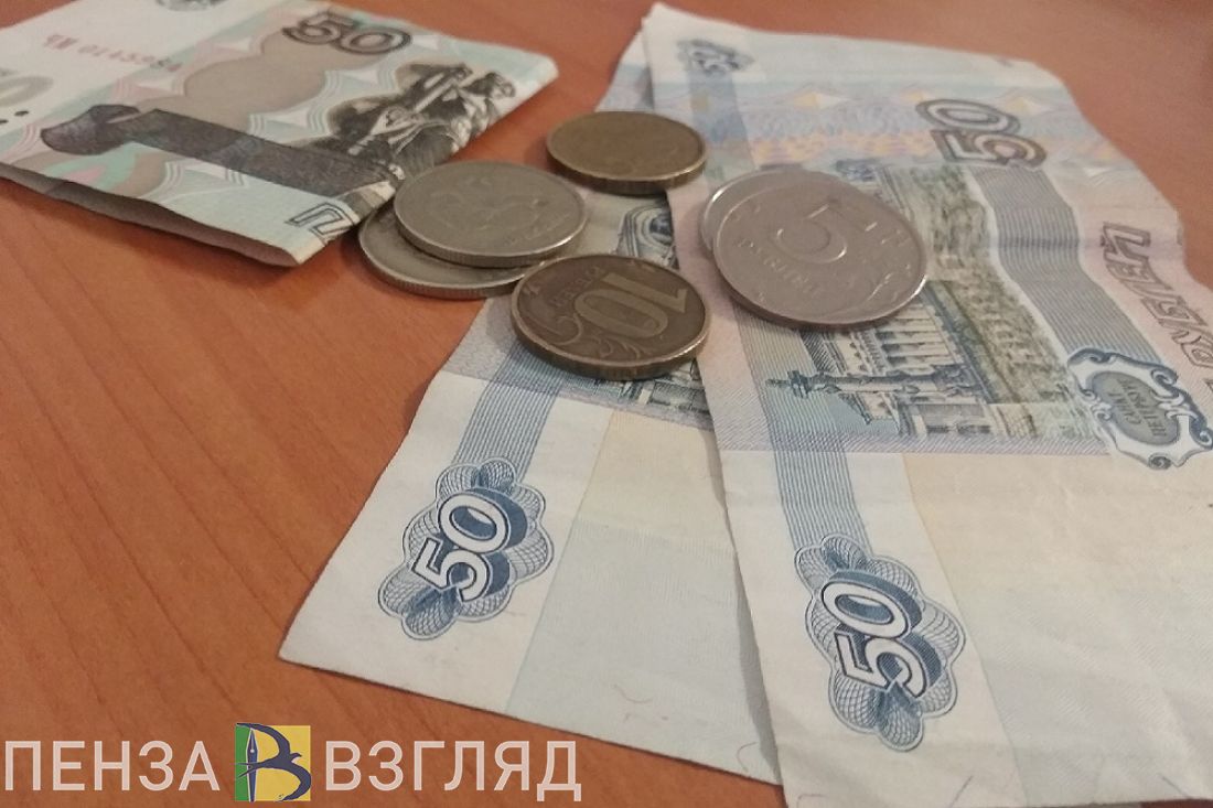Бюджетникам в Пензенской области повысят зарплату на 4%