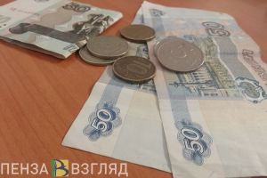 Бюджетникам в Пензенской области повысят зарплату на 4%
