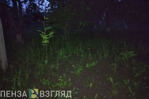 Пропадающие люди, автопарковка на набережной, умер заслуженный врач - новости Пензы и области за 17 сентября