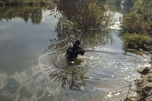 В селе Засечное Пензенского района из водоема извлекли тело мужчины