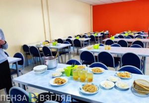 В Пензенской области запустят пилотный проект по организации питания детей на базе местных продуктов