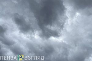Под Пензой рухнул легкомоторный самолет