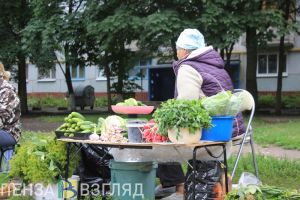 Утверждена программа развития торговли в Пензенской области