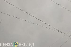 Прокуратура начала проверку по обстоятельствам падения самолета под Пензой