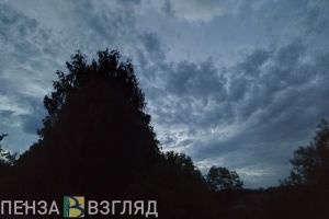 Появилось фото с места крушения легкомоторного самолета в Пензенской области