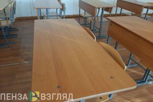 В соседнем с Пензенской областью регионе из-за ОРВИ и гриппа закрывают школы