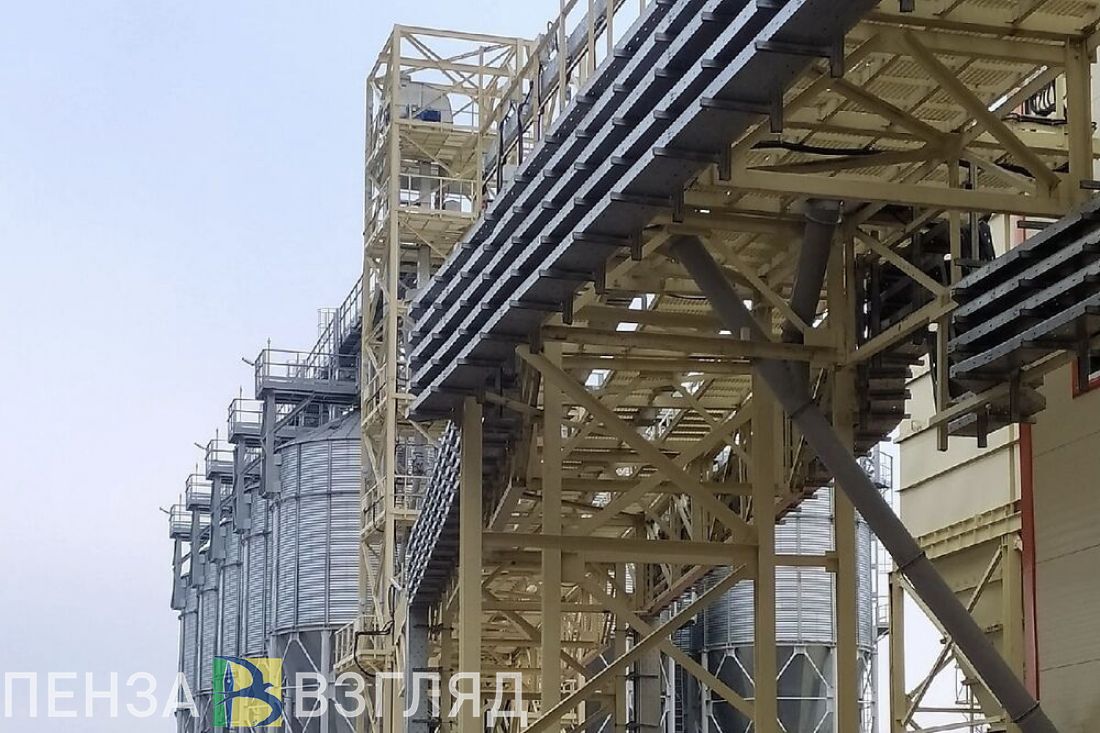 Пензенцам рассказали, как сейчас промышленники сотрудничают с иностранными компаниями