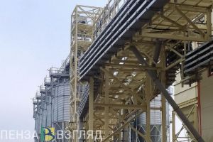 Пензенцам рассказали, как сейчас промышленники сотрудничают с иностранными компаниями