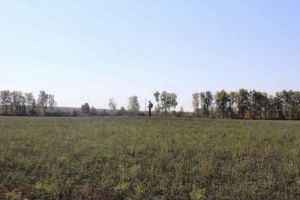 В Кузнецком районе археологи нашли древние курганы