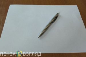 Житель Лунинского района напал на автоинспектора с шариковой ручкой
