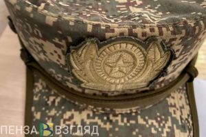 Путин поручил главам регионов оказывать поддержку участникам СВО