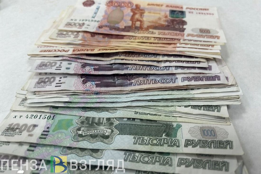Пензенцы узнали, что в Госдуму внесли проект о повышении МРОТ