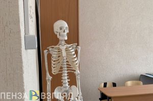 В пензенских школах нет классов на карантине по ОРВИ и гриппу