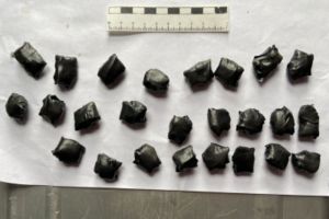 В Пензенской области задержаны наркокурьеры из другого региона