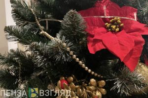 В декабре в Пензе пройдет Губернаторская елка (0+)