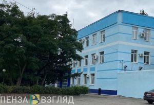 Убийство девушки, женщина на цепи и отступление циклонов: новости Пензы за 13 октября
