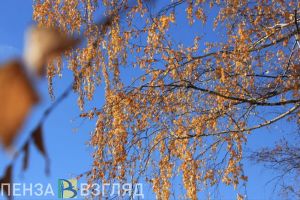 16 октября пензенцам прогнозируют теплую и ясную погоду
