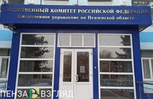 Упавшая с высоты девочка, проводы призывников и жалобы на отсутствие воды и отопления: новости Пензы за 17 октября