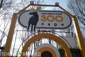 Пензенским участникам СВО планируют одобрить новые льготы